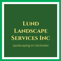 Everything You Need to Know About Landscapers Colchester